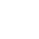 GFN 64-40 - Chenille processionnaires blanc