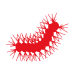 GFN 64-40 - Chenille processionnaires