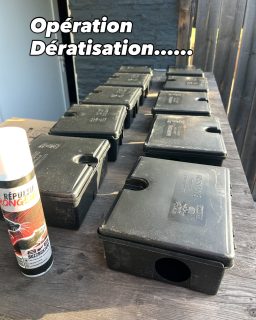 GFN 64-40 - Rats