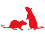 GFN 64-40 - Rats - Souris